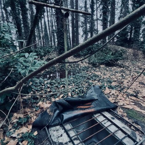 Galeriebild 9 von Mistress Henriette