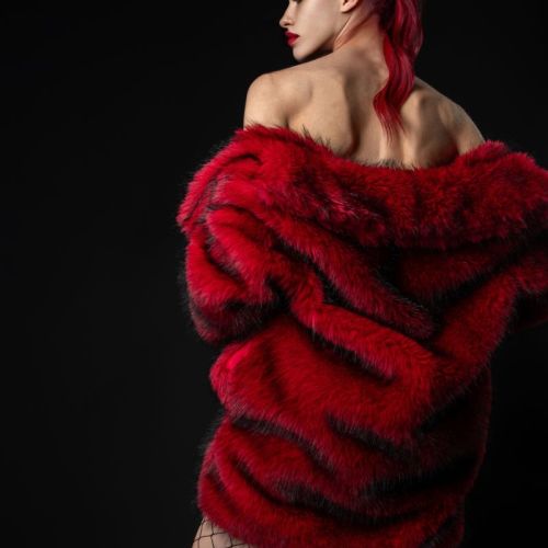 Galeriebild 8 von Princess Harley Blood