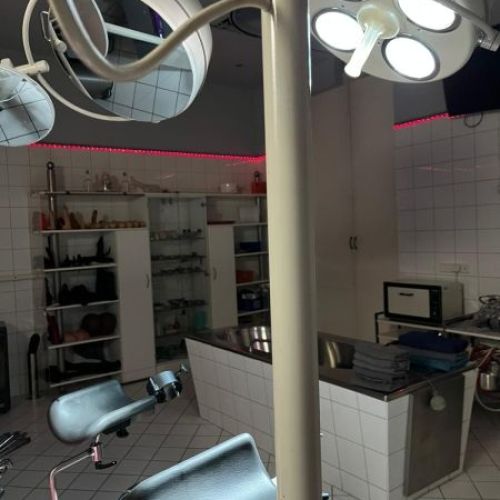 Galeriebild 3 von Novem Viginti