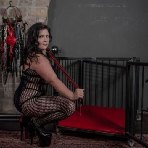 Galeriebild 19 von Miss SHIVA